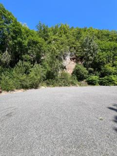 Forest Caravan Park - - 5