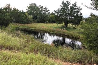 The Creek House - Cedar Creek - 9