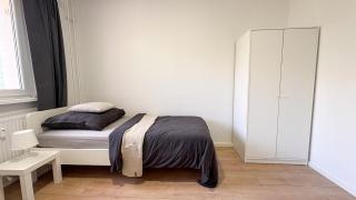 Ganze Wohnung mit TV, Internet, Parkplatz, Waschmaschine, Küche, Balkon, Restaurants und Supermarkt - Halle-sur-Saale - 6