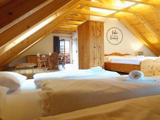 ALP - Chalet Samspitze 1 - Mariapfarr - 7
