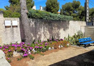 Maison bord de Mer au calme sous les Pins - Carry-le-Rouet - 6