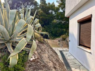 Cactus Sea view Villa on the beach - Vourvourou - 5