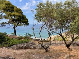 Cactus Sea view Villa on the beach - Vourvourou - 4