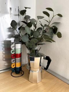 La Cabane du Pécheur - 2