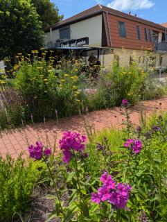 Ferienwohnungen - barrierefrei - im sanierten Gutshof - Lalendorf - 6