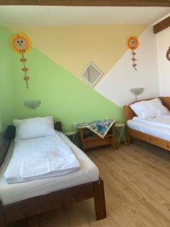 Casa Tomson, free parking, aproape de natura - Oradea - 8