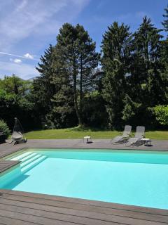 Piscine & Parking Privé - 2 min du Lac d'Annecy - Doussard - 9