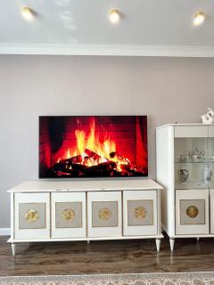 Люкс апартамент Ботанический Сад - 2