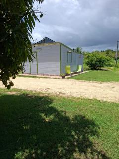 Sous le manguier - 1