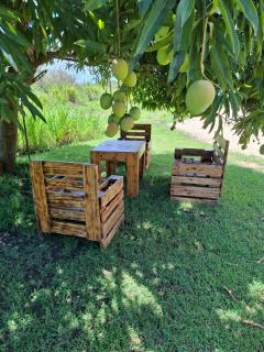 Sous le manguier - 9