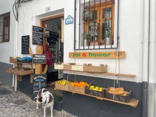 Precioso apartamento Albaicín a 4 min del centro - Granada - 6