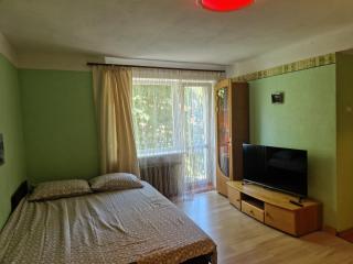 Vītolu 3 Liepāja apartment - Liepāja - 5