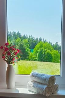 Noclegi Pod Lyskami - Nowy Targ - 1