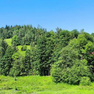 Noclegi Pod Lyskami - Nowy Targ - 4