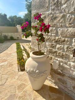 Villa Nikolas - Paxos Superior Living - Oziás - 9