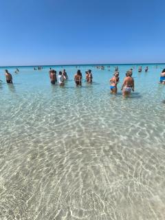 La Casetta Al Mar - Porto Cesareo - 9