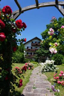 Landhaus Schönblick - Bad Kohlgrub - 0