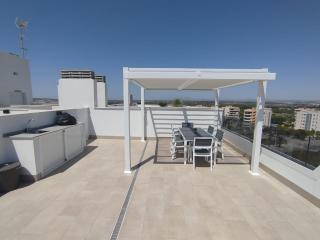 Brand new Penthouse with Huge Terraces, Pool, Fitness Center and Garage - Arenales del Sol - 6