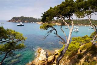 Escale Toulonnaise - Cosy, calme & bien situé - Toulon - 8