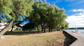 Queen Bee Apartments - 7