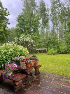 Cozy cottage on lake - - 6