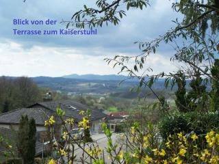 Ferienwohnung Unterschütz - Ettenheim - 9
