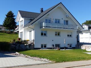Ferienwohnungen Kaiser - Höchenschwand - 8
