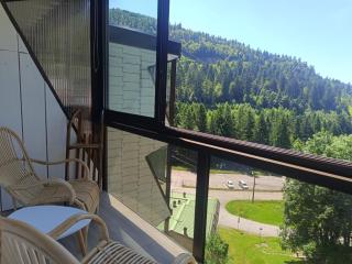 Le 408 des pistes - La Bresse - 6