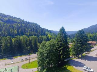 Le 408 des pistes - La Bresse - 2