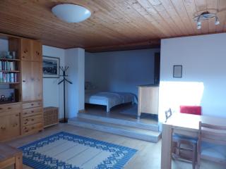 Ferienwohnung Traunsee Ost - Gmunden - 7