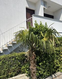 Apartmani Selce Dunja - Selce - 4