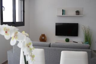 Lovely modern two bedroom apartment - Arenales del Sol - 8
