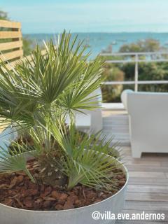 VILLA EVE Bord de plage spa piscine roof top - Andernos-les-Bains - 5