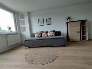 Zamek i Rzeka- apartament w Malborku - Malbork - 7