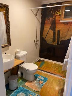 Casa Flavia - Mahmudia - 1