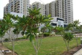 Kg signature city - Chennai - 0