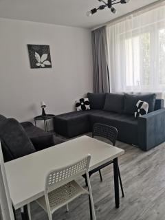 Apartament Lilia Gdańsk - Gdańsk - 7