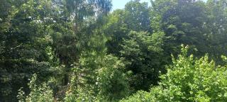 Goldsteig 3 - Doppelzimmer - Windischeschenbach - 7