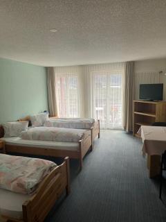 Hotel ilufa - Meiringen - 9
