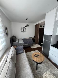 luxurystudioanjainata - Zlatibor - 6
