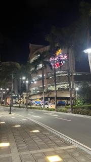 One Tree villas - Hyuna Place, Across NAIA T3 - Manila - 6