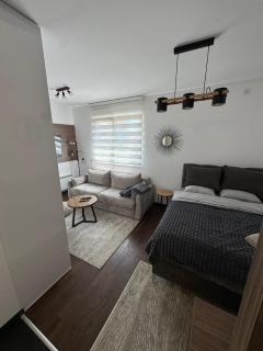 luxurystudioanjainata - Zlatibor - 9
