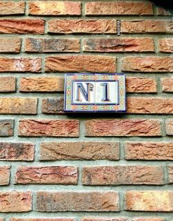 Ruim vakantie huis Marke Lemselo in de natuur - Weerselo - 8