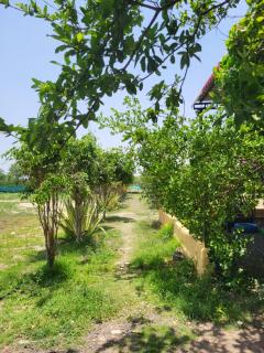 Suraj Village Resort - 2