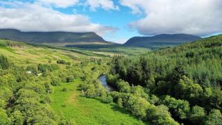 Tonita - Garve - 4