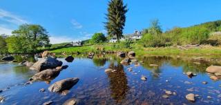 Tonita - Garve - 3