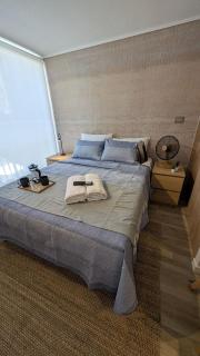 Parque Curico Suites - Santiago - 7