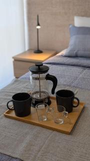 Parque Curico Suites - Santiago - 1