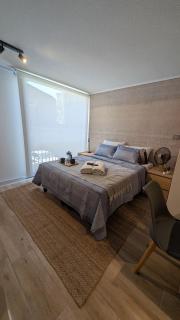Parque Curico Suites - Santiago - 2
