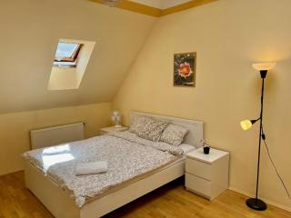 Comfortable 3 Bedroom apartment in the Heart of Prague - Prag - 1